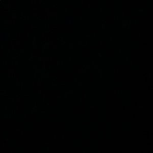 Meet your Posher, Layla